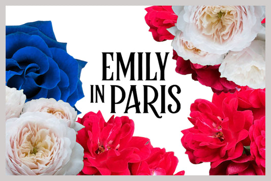 Your vegan Emily in Paris style inspiration part II