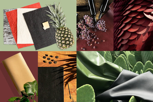 Vegan Leather Guide Apple Leather Ananas Leather Cactus Leather AppleSkin Pinatex Desserto