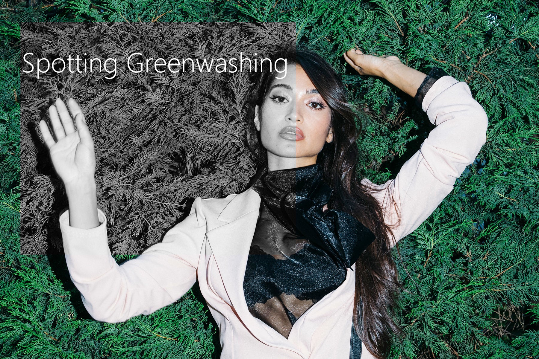 Spotting Greenwashing