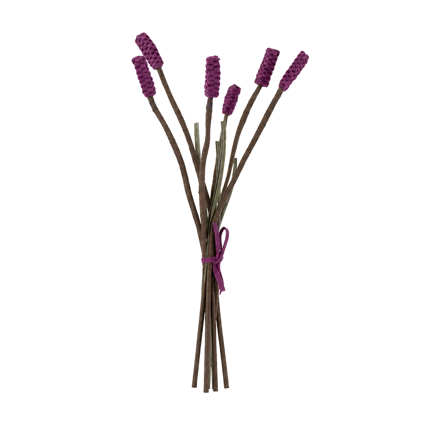 Lavandula