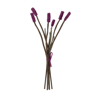 Lavandula